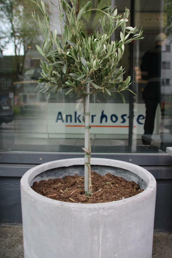 Anker Hostel Oslo Exterior foto